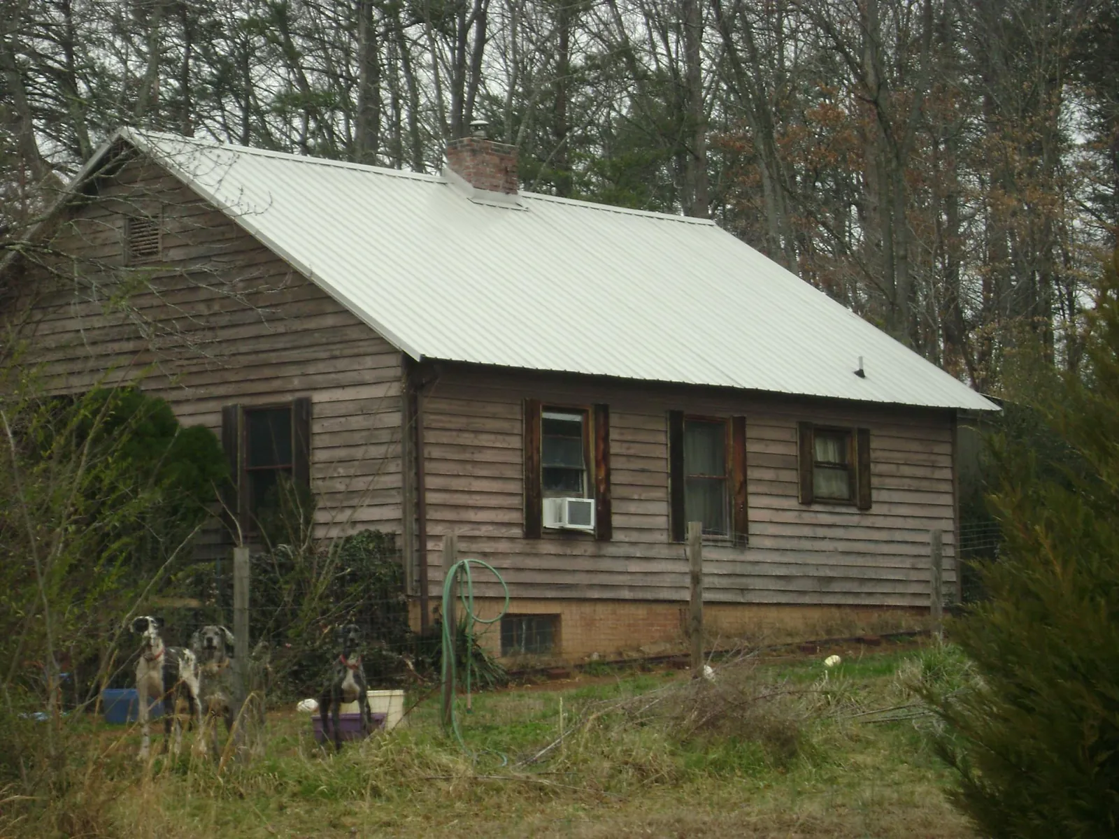 White metal roof on an old wood sided farmhouse, from a Asphalt Shingle Roof Repair job in Peckville